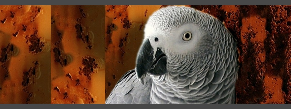 Panel07-960x325